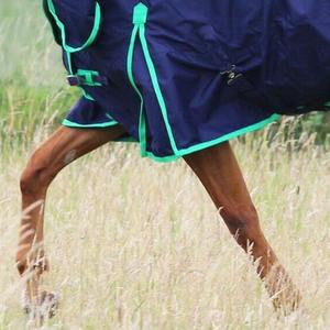 De calidad superior caballo usar participación caballo alfombra ligero 100g - Product Image 5