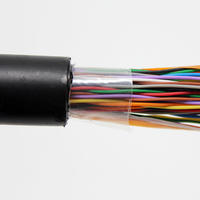 Câble téléphonique UTP FTP 15 paires 25 paires 50 paires 100 paires 2400 paires Câble de communication extérieur blindé rempli de gel Cat3