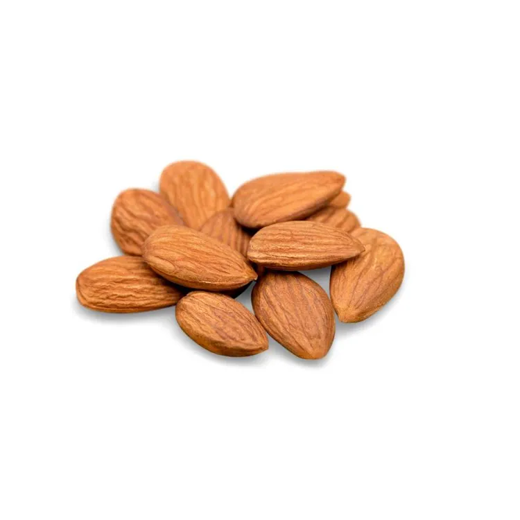 Wholesale Price Raw Almonds Available Delicious and Healthy Almonds Nuts