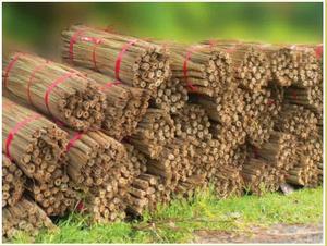 มะพร้าวแท่ง /Brom ติดในราคาขายส่ง99ทองข้อมูล - Product Image 6