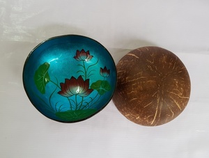 Bols en noix de coco polis multicolores écologiques et minimalistes, design nouveau et abordable pour la vaisselle de cuisine à domicile, Vietnam - Product Image 2