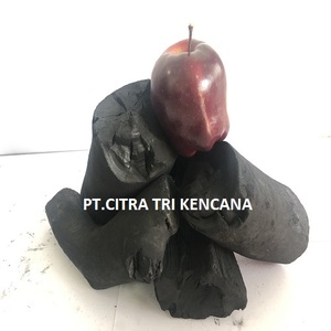 BEST 2020 SUPERMARKET IN CHILE 4 KG 5 KG FRUIT CHARCOAL, NEW TYPE OF CHARCOAL, MADE IN INDONESIA FRUIT CHARCOAL Magallanes CHILE - Product Image 5