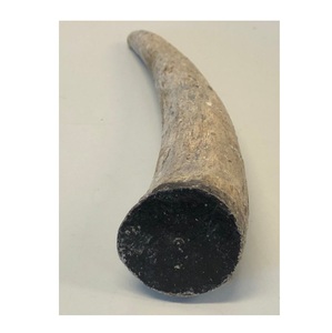 Pointe de corne noire naturelle, artisanat indien pour pointe polie brute et solide, corne naturelle et cadeaux et artisanat à vendre - Product Image 3