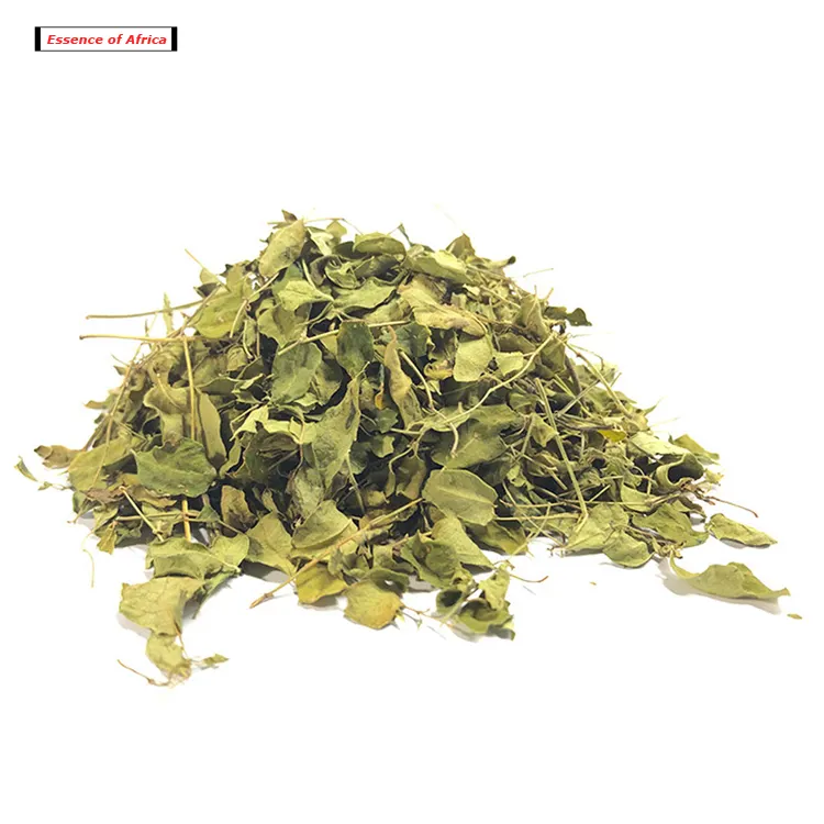 100% Pure Natuurlijke Moringa Bladeren Losse Blad Thee, Natuurlijke Oleifera, Moringa Leaf Extract Van Top Groothandel