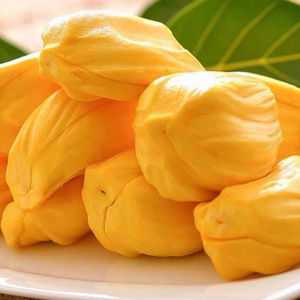 ขนุนออร์แกนิกสดเกรดสูงจากเวียดนามและส่วนผสมอาหารอร่อย-MS Laura - Product Image 1