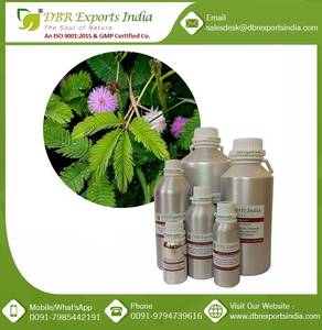 Aceite de Mimosa (Mimosa Tenuiflora) - Product Image 6