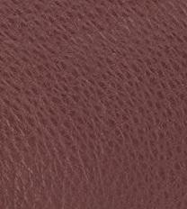 สีน้ำตาลเข้ม