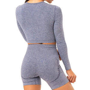 Offre Spéciale Haute qualité sculpter Sans Couture À Manches Longues sexy respirant en gros femmes à manches longues sport gym porter - Product Image 2