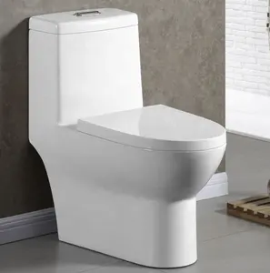 China Lieferant Großhandel maßge schneiderte hygienische WC Toilette Sanitär keramik einteilige Toilette