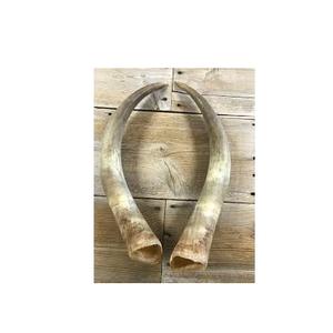 Paire de buffle corne et pointe/corne naturelle de boeuf en gros taille moyenne et utilisation décorative murale - Product Image 3
