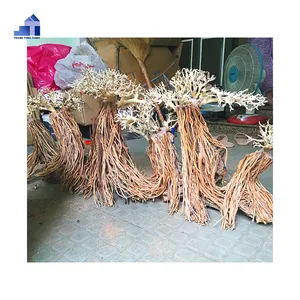 Лидер продаж, 2023 потрясающая дрейфовая древесина бонсай для оптового вьетнамского поставщика WhatsApp: + 84 961005832