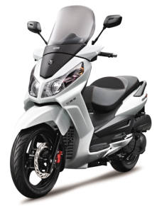 Galets de variateur SYM OEM Bando pour Cruisym 250, Joymax 250/300, HD 300 Euro4, Citycom S 300, QuadLander, 22121-RB1-000-A - Product Image 5