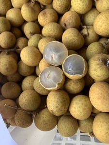 สินค้าพรีเมี่ยมธรรมชาติหวานไทยผลไม้ลำไยสด - Product Image 4