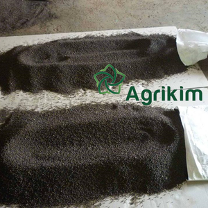 พริกไทยดำเวียดนามมาตรฐาน 570GL MC ASTA รสเผ็ด แห้ง ดิบ พร้อม +8436 3565 928 - Product Image 6