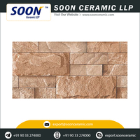 Carreaux muraux extérieurs en céramique, carreaux numériques en porcelaine, 300x600mm