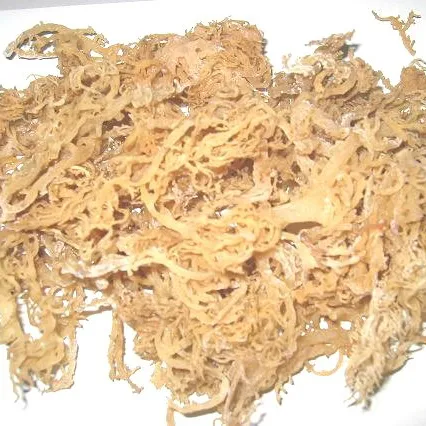 Best dried seaweed eucheuma cottonii/ +84 845 639 639