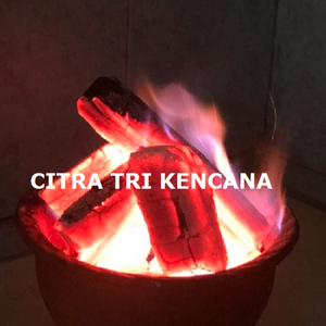 Barre de charbon de bois dur, pour BARBECUE, à activation rapide, APPLE FRUIT, GRILL, en bois massif, 2 KG, 3 kgtaoa, maroc, afrique du nord - Product Image 1