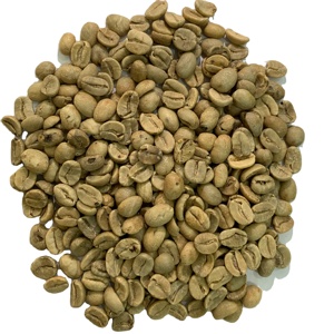 High Quality PHALCO Robusta Green Coffee <b>Beans</b> Grade 1 Screen 16/18 Vietnam Best Price Ready for Export in Jute <b>Bag</b> Packaging - Product Image 3
