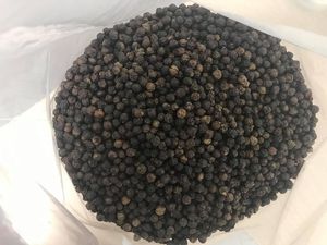 WS + 84359166896 MS พริกไทยดำคุณภาพระดับพรีเมี่ยมจากเวียดนามตัวเลือกที่ดีที่สุดสำหรับกระบวนการปลูกพืชแห้งใหม่พร้อมจัดส่ง - Product Image 6