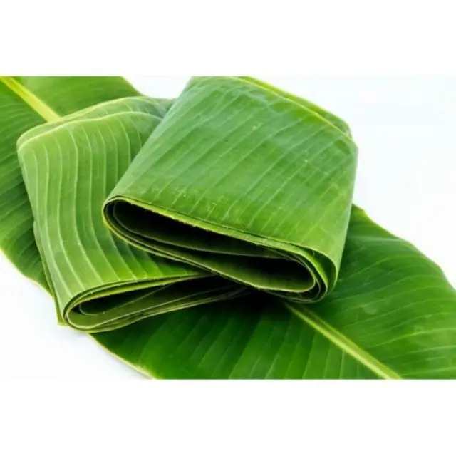 신선한 바나나 잎, 신선한 바나나 잎 베트남 수출 도매 진공 pakaging 5kg PA 가방 당