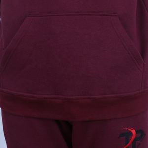 Conjunto de chándal de invierno para hombre al por mayor, chándal 100% de algodón con Sudadera con capucha y pantalones de chándal, estilo Streetwear - Product Image 4