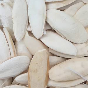 ผงกระดูกปลาหมึกขนาดใหญ่สำหรับนกคุณภาพพรีเมี่ยมปลาหมึกหักอุปกรณ์สำหรับนก GIA Nguyen เวียดนาม - Product Image 6