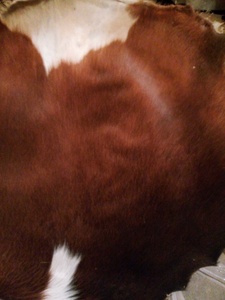 หนังวัวสีน้ำตาลที่กำหนดเองสำหรับหนังหัวกลอง - Product Image 2