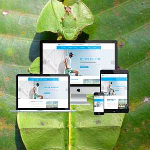 ค้นหาบริษัทเพิ่มประสิทธิภาพเครื่องยนต์ในอินเดีย | ค้นหาบริษัทเพิ่มประสิทธิภาพเครื่องยนต์ | บริการ SEO SMM ที่ดีที่สุดโดย Webroot Infosoft - Product Image 3