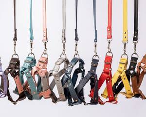 Leather <b>Dog</b> Harness Personalized <b>Dog</b> Leash Set <b>Small</b> Medium Large No Pull Girl <b>Dog</b> Harness - Product Image 1