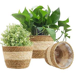 Maceta tejida para algas marinas, maceta para plantas en venta, hecha en VIETNAM - Product Image 5