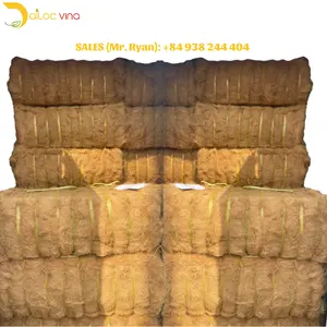 BEST SELLING! NATURAL COCONUT FIBER VIETNAM