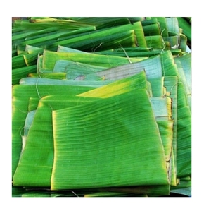 ใบตองธรรมชาติสีเขียวจากเวียดนามผลิตภัณฑ์ทางการเกษตร - Product Image 1