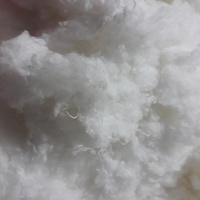 Déchets de fibres de polyester/fibres discontinues de polyester recyclées (prix négociable)-Mme Mira