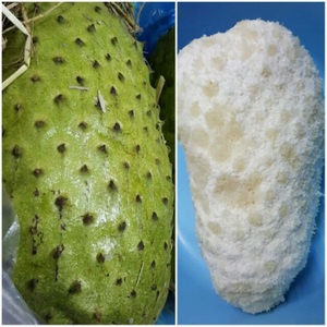 มะขามป้อมหวานอมเปรี้ยว ราคาดีที่สุด จากเวียดนาม /+84 896611913 - Product Image 2