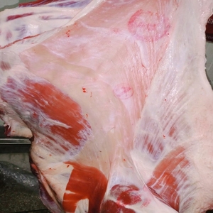 High Quality Frozen <b>Beef</b> Meat LQF Process Vacuum Pack Whole ISO Certified 2-Year Shelf Life Fresh South Africa Halal/Non-Halal - Product Image 1