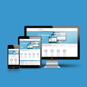 Wordpress CMS development Company in India | Wordpress Website Agency |Best Custom CMS Development Services by Webroot Infosoft - Product Image 2