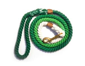 Ombre <b>Dog</b> <b>Leash</b> - Product Image 1