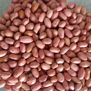 High Quality Peanuts, Ground Nut Crop Year - Product Image 1