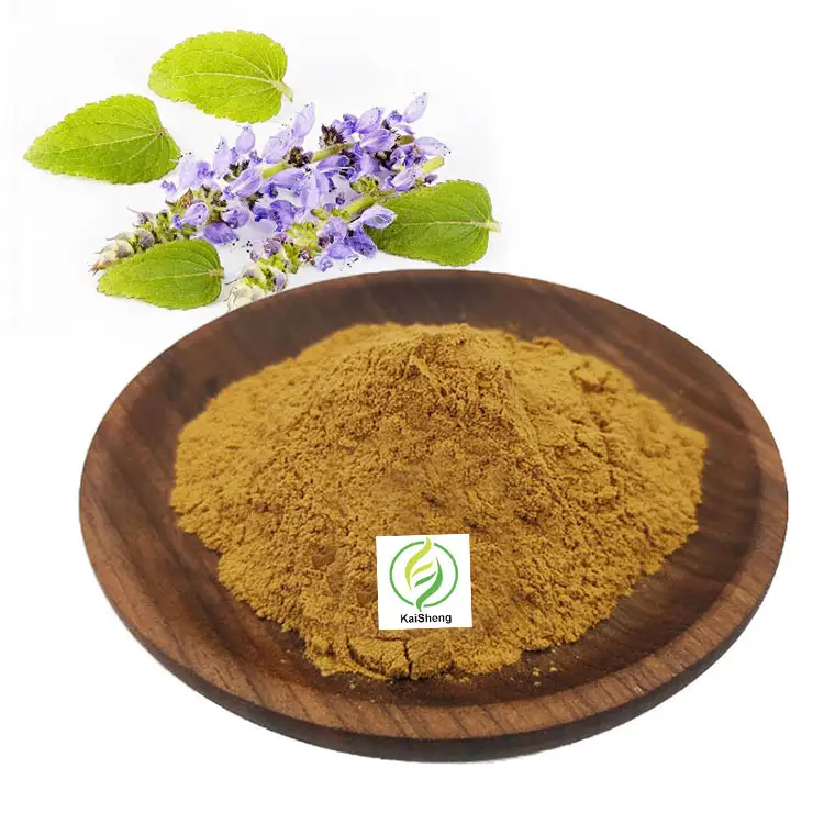 도매 가격 Coleus Forskohlii 뿌리 추출물 분말 제조업체 Forskolin Coleus Forskohlii 추출물