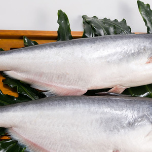 IQF Entier Rond basa Pangasius Avec Poids 10kg Et Durée de conservation 24 Mois Du Vietnam - Product Image 6