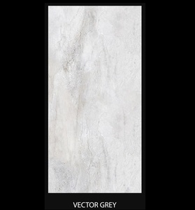 Baldosas duras de cerámica de color gris 60x120cm - Product Image 1