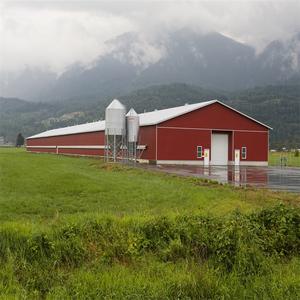 Structure de élevage de volaille commerciale en acier, caisses à volaille et abri de repos - Product Image 1