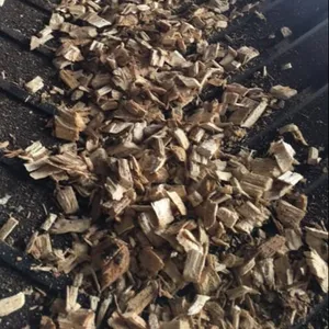 Puces de bois d'acacia naturelles, 100 pièces, pour la fabrication de pâte à papier, à bas prix