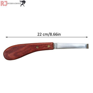 Per <span class=keywords><strong>Swiss</strong></span> strumenti veterinari riutilizzabili per la cura del cavallo coltelli a lama affilata con anello di forma ovale per la diagnostica di rifilatura - Product Image 3