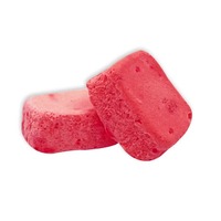 [Maleisië] Klaar Voorraad + Snelle Verzending Natuurlijke Gevriesdroogde Yoghurt Ijs Gezonde Snacks Oem