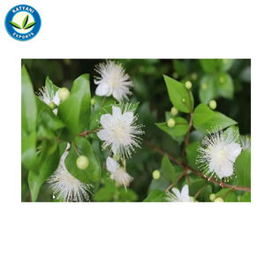 น้ำมันไมร์เทิลออร์แกนิคบริสุทธิ์100% อินเดีย - Product Image 5