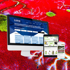 Webroot-empresa de desarrollo de sitio web de una empresa de gestión de trabajo, red de RED para la India para la captación de premios - Product Image 3