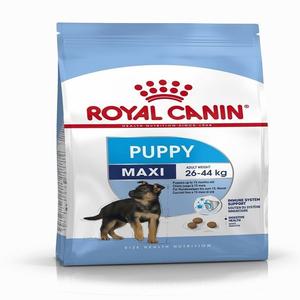 Casse-croûte nutritif pour chiens, sans Grain, aliments pour animaux de compagnie - Product Image 1