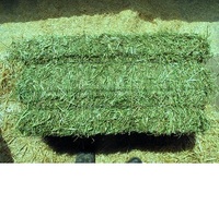 Balles de Foin De Luzerne De première qualité et agglomérés sous forme de Pellets, séchées et fraîches Luzerne foin d'herbe.