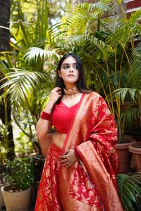 ชุดงานแต่งงานของชาวอินเดียสีแดงสวย,ชุดหรูหราทำจากผ้าไหมสีทอง Zari ทอผ้า Lehenga Choli สำหรับสุภาพสตรีในอัตราขายส่ง - Product Image 5